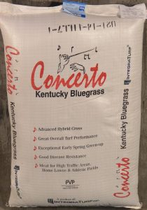 Kentucky Bluegrass 210x300 1